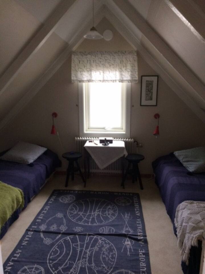 Chumba cha kulala chenye dari za mteremko