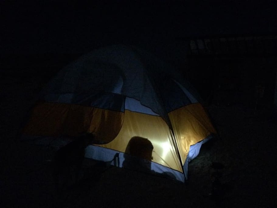 Pitch your own Tent