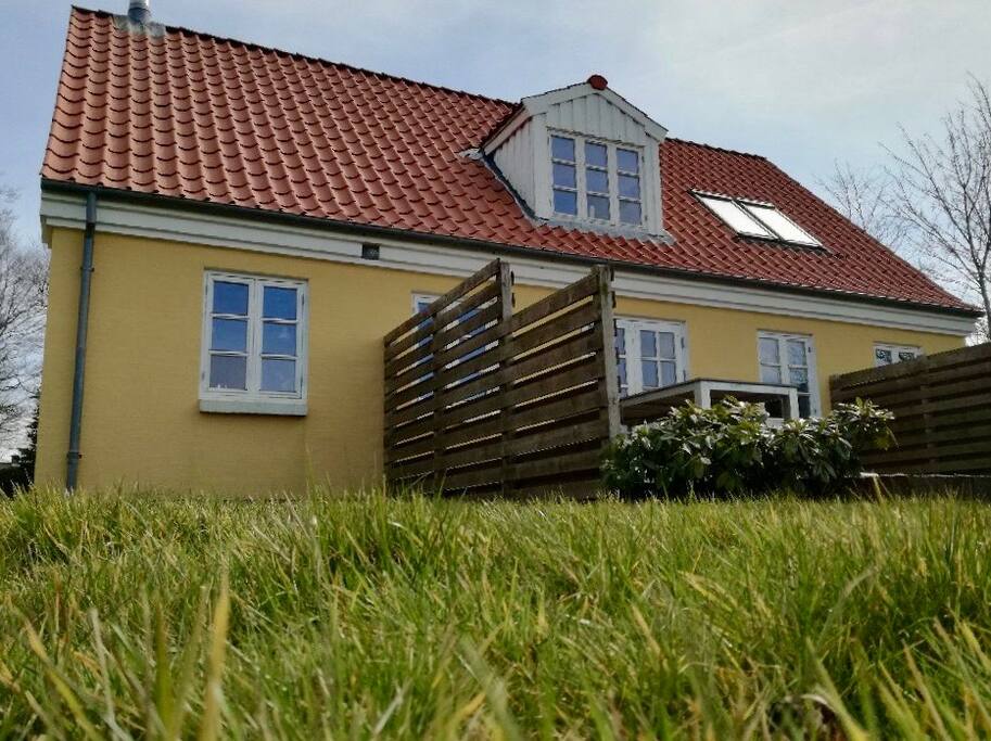 Terrasse / Terrace