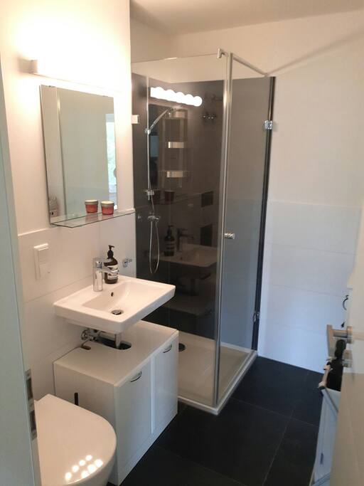 guest bathroom for own use
