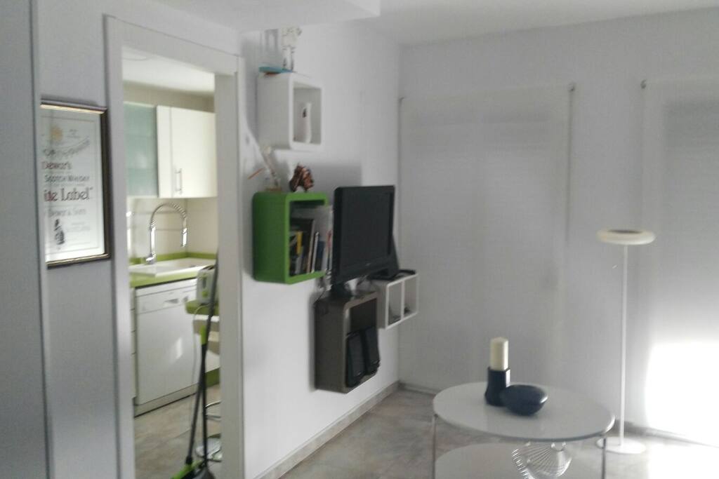 VISTA DEL SALON