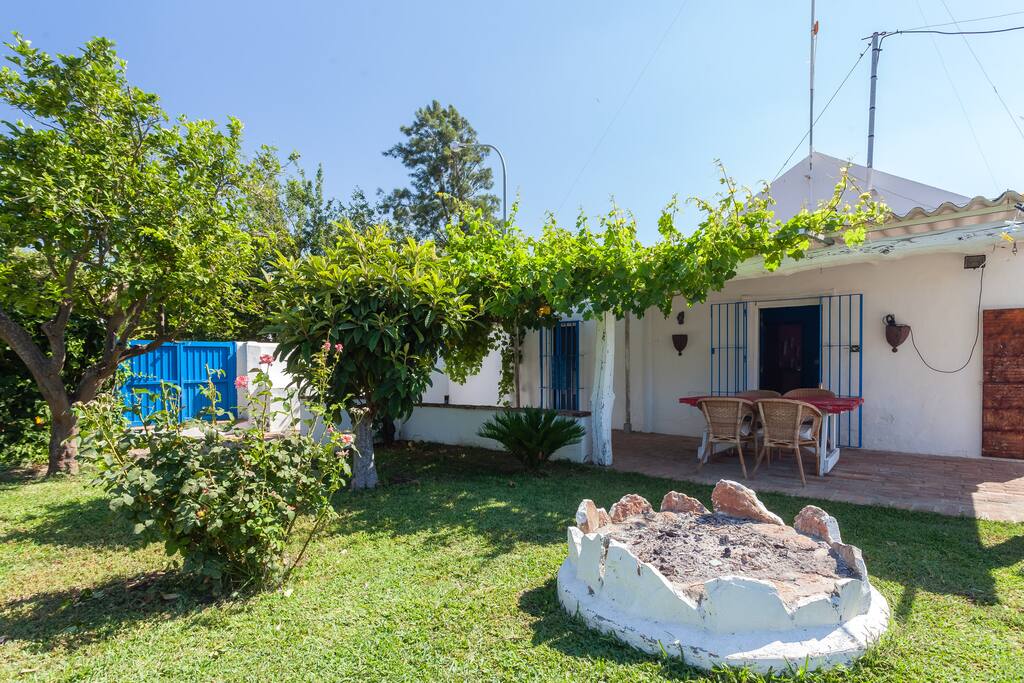 Top garden towards bedroom terrace