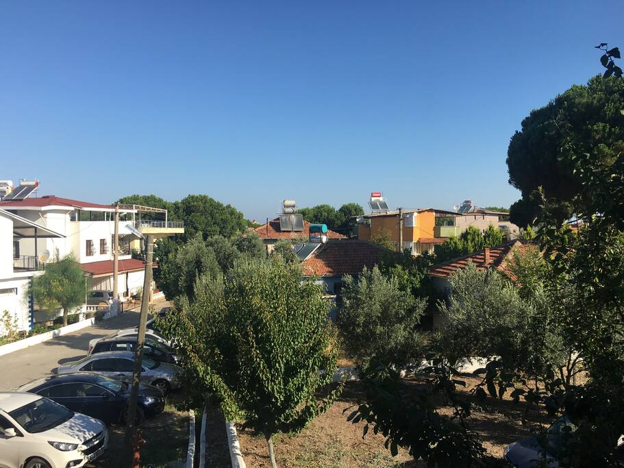 View