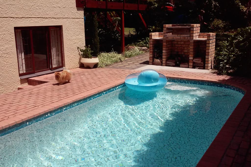 Pool & braai area