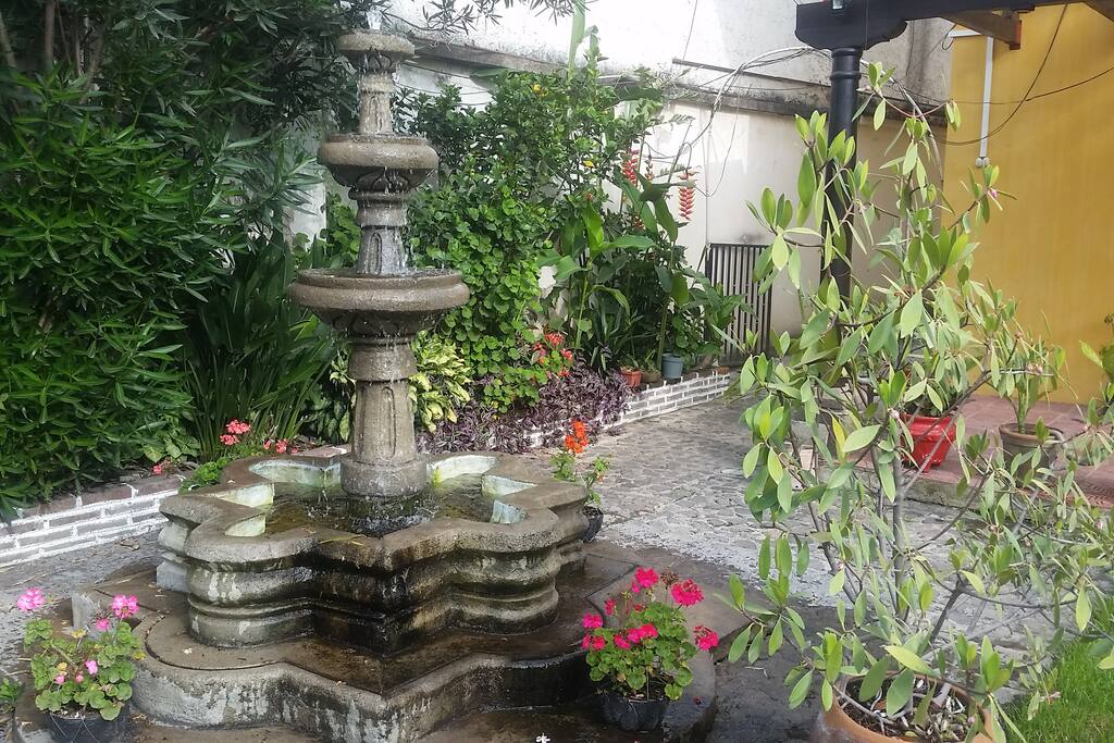 Fuente ubicada en el jardín.