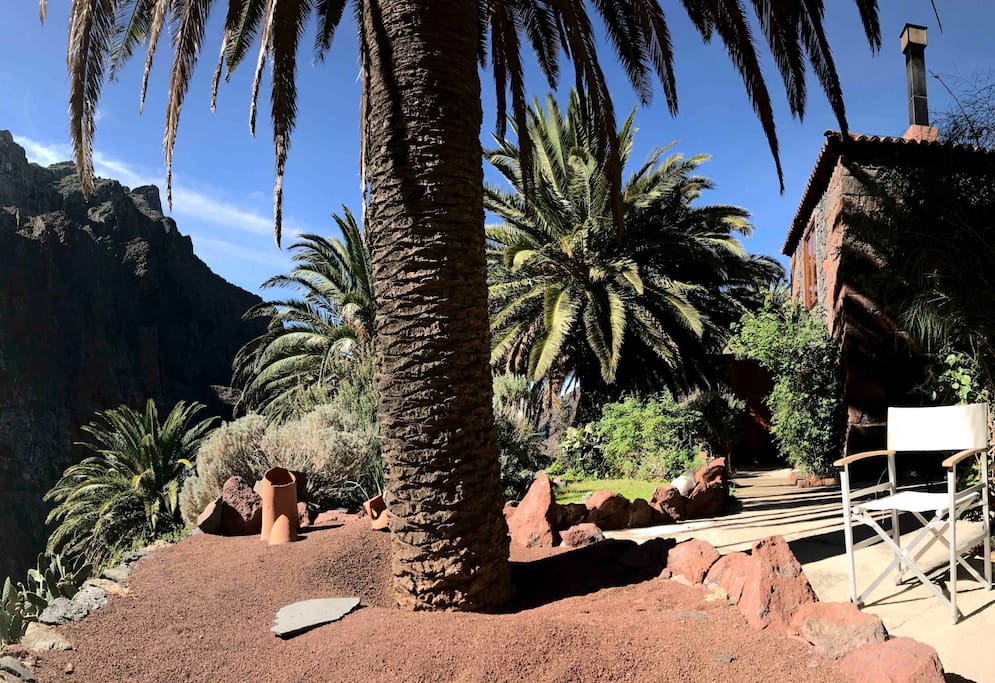 The garden of A Room with a View by our guest Bartosz
