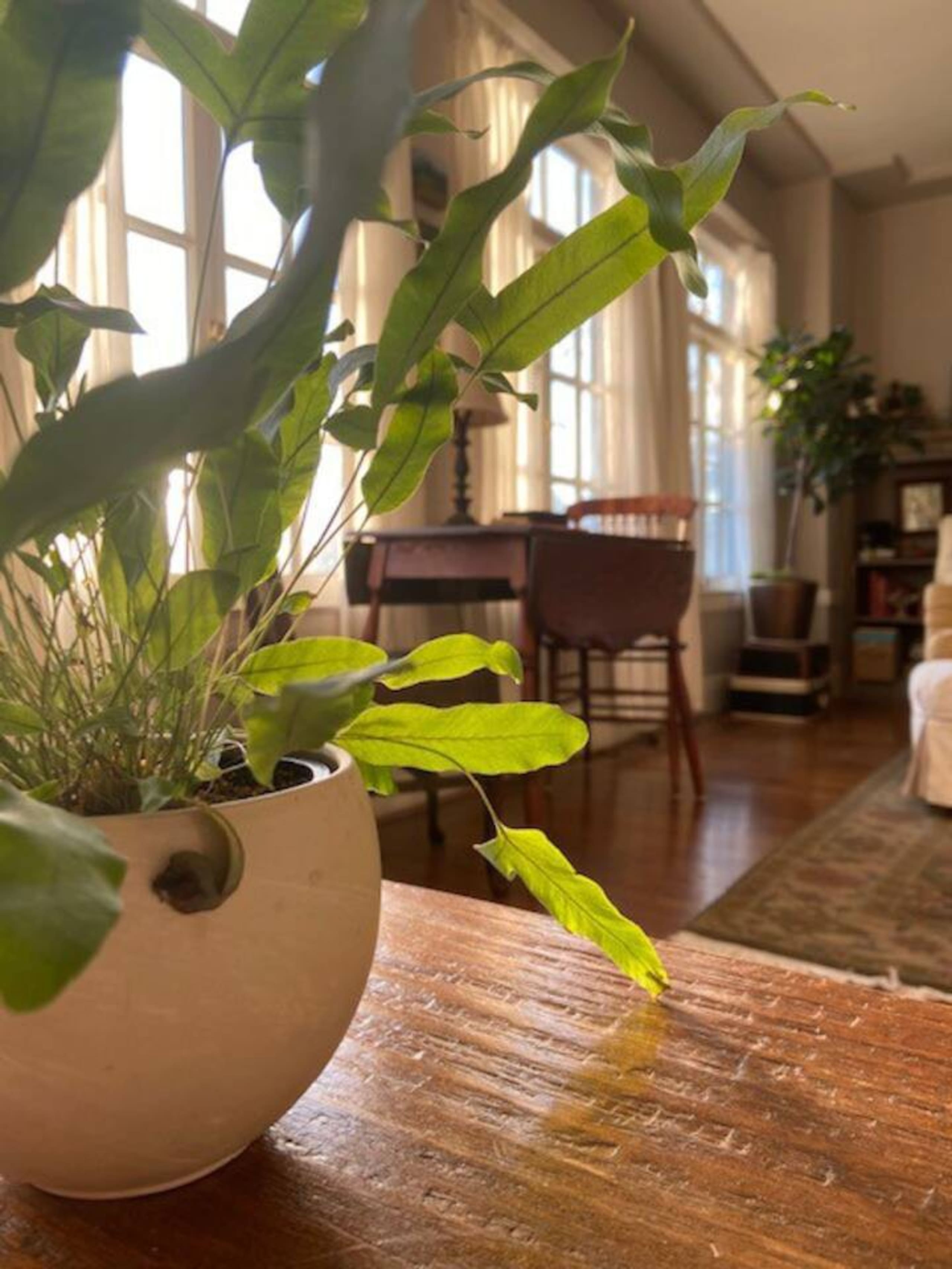 Condo in San Francisco · ★5.0 · 1 bedroom · 1 bed · 1 bath - Image 3