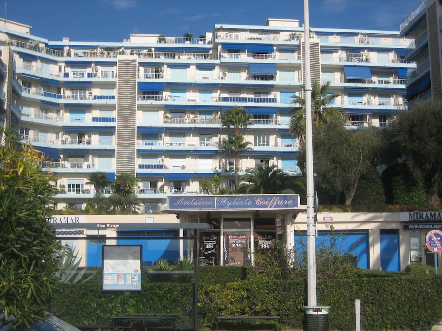 The building