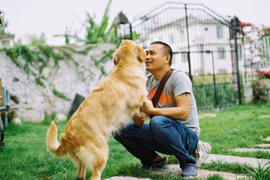 我和可乐