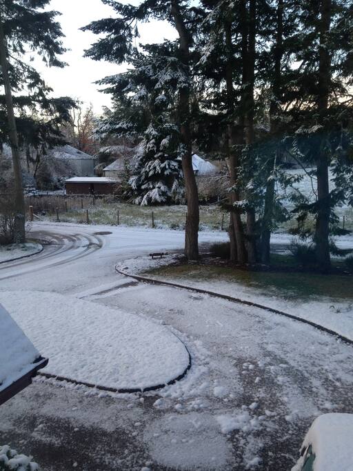View to the front from your room