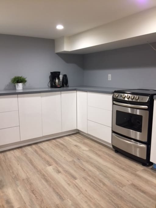 Newly Appointed Kitchen