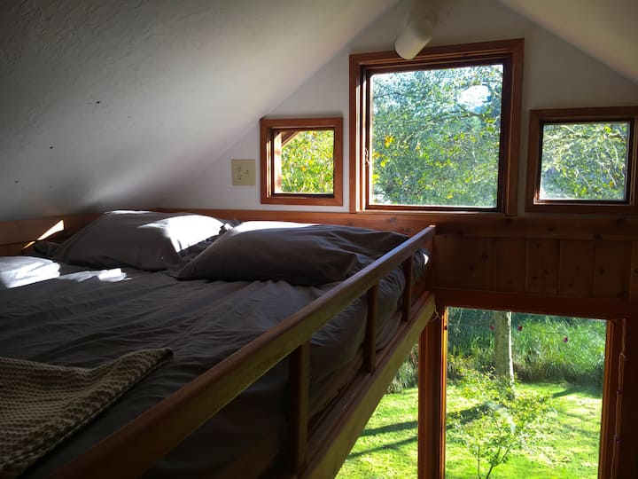 12 Best Cabin Rentals In Humboldt County, California Updated 2024
