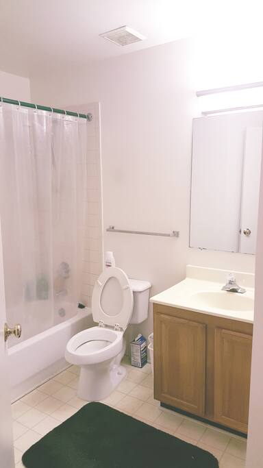 The private bathroom