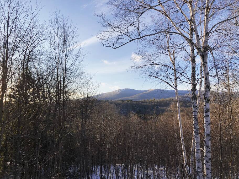 Views of Bromley from the deck