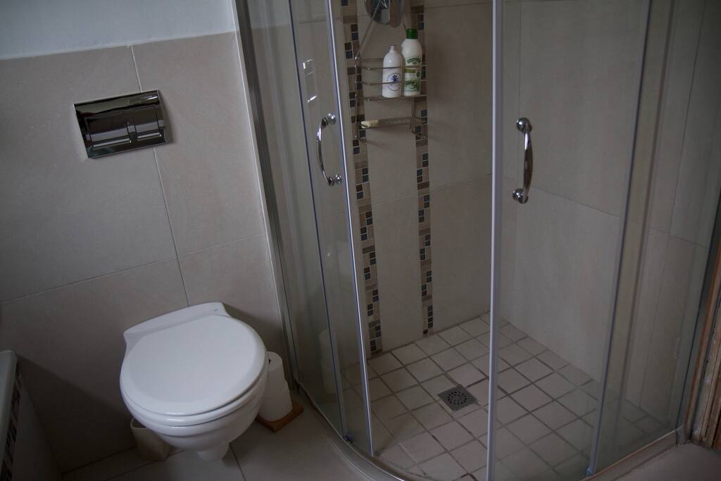 Modern bathroom and shower