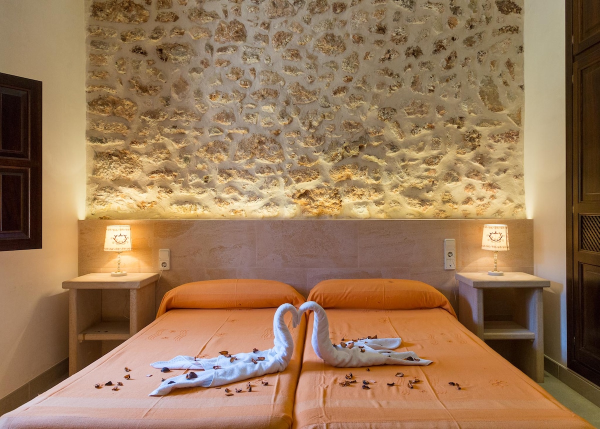 Chambre double  romantique avec pierres vues 