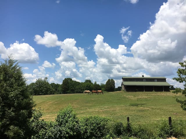 Private guest house with great view