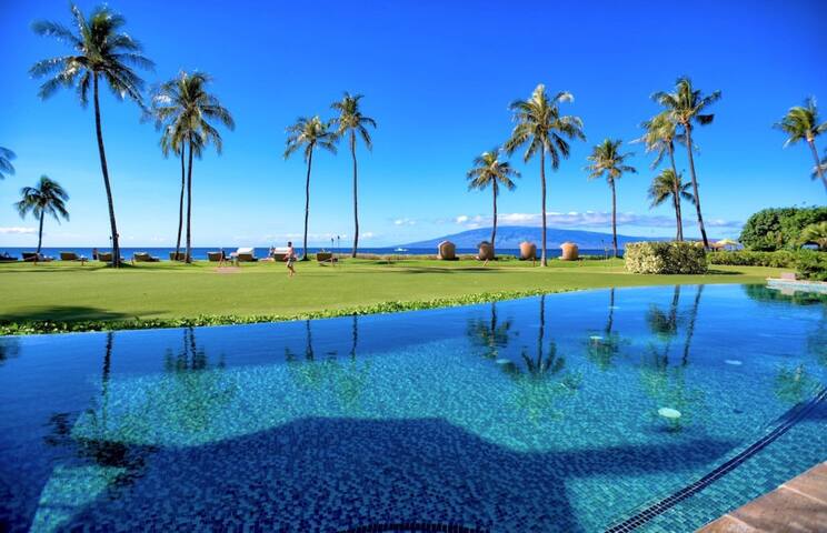 Hyatt Luxury Oceanfront (No cleaning/deposit fee!) gallery image 5