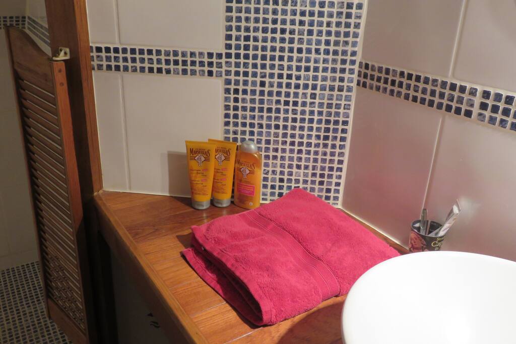 salle de bain ( douche à italienne)et wc privatif