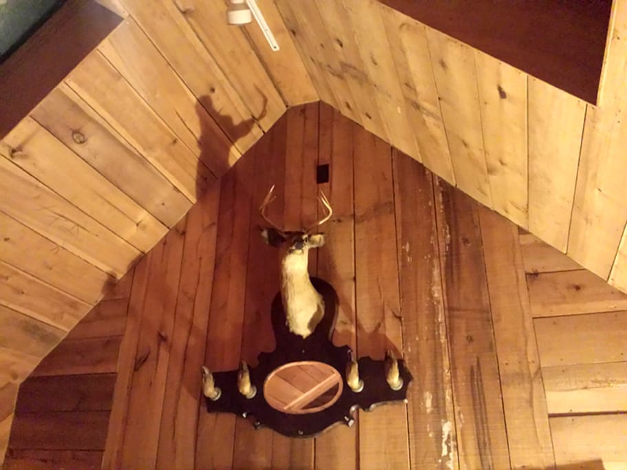 Interior Decor
