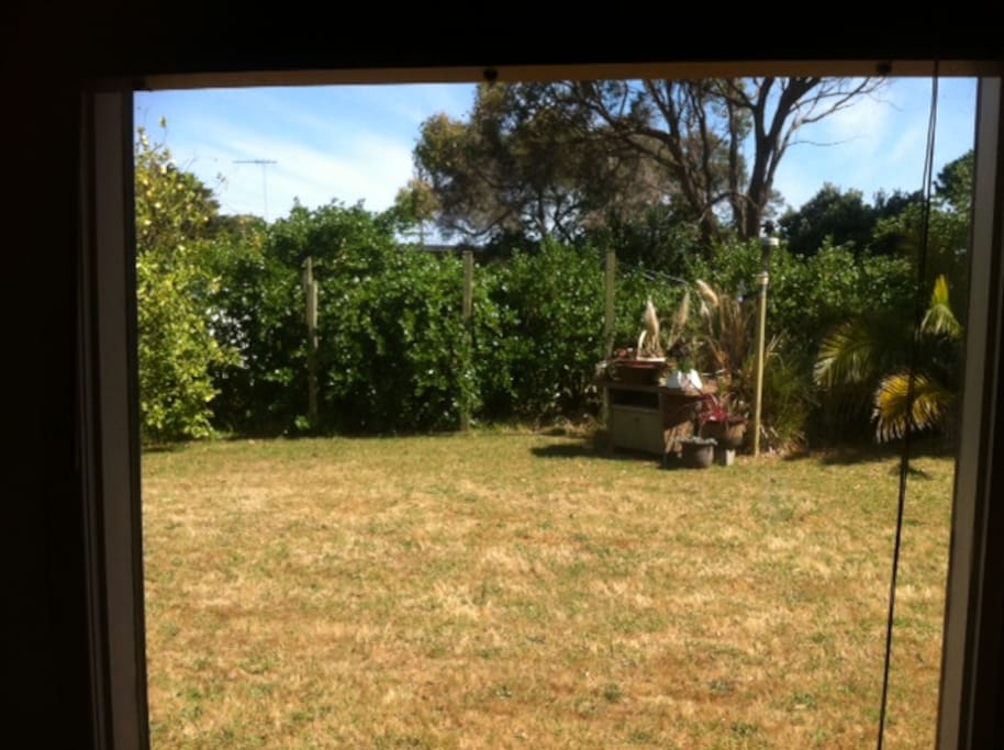 very private, large back yard