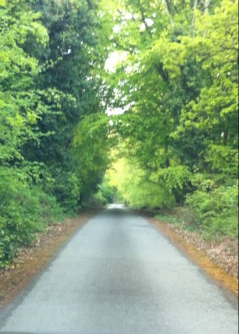 The driveway