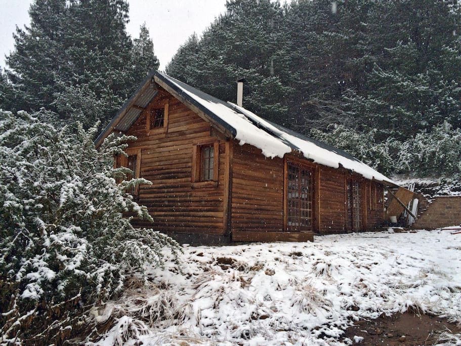 Snow 2016