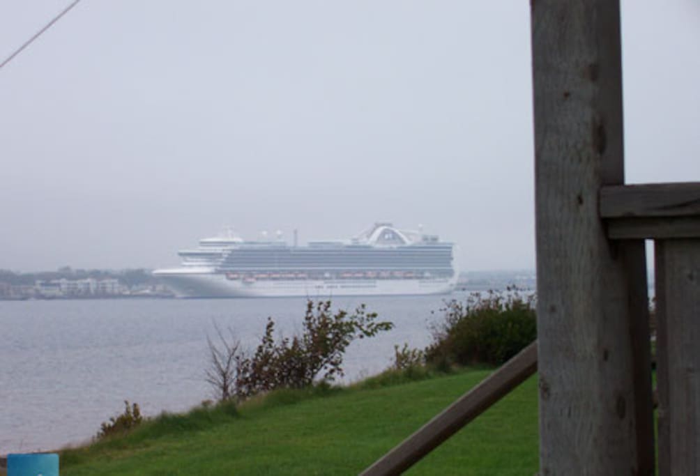 Cruise ship