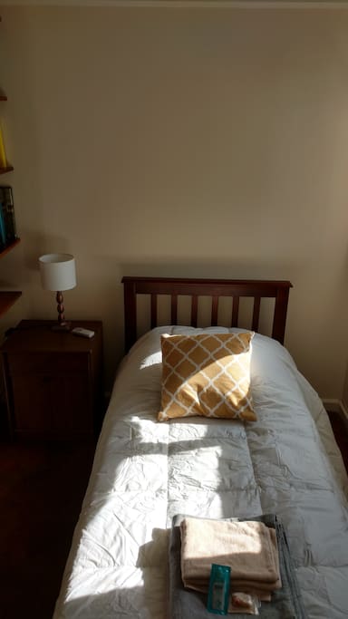 Guest room (single) / Habitación huésped (individual)