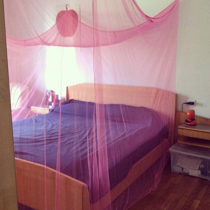 the bedroom with a fancy mosquito net