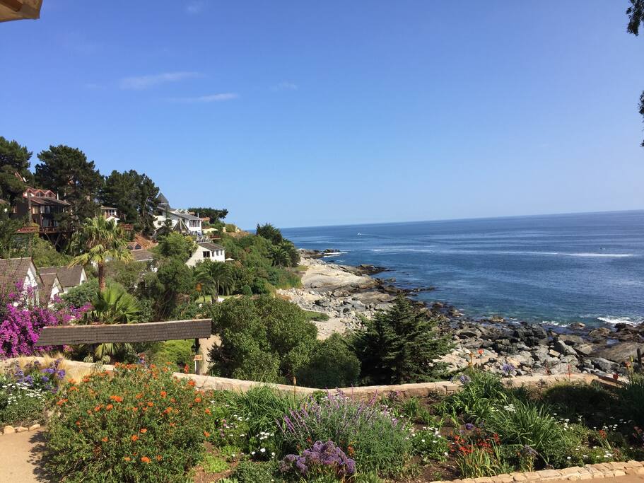 Vista desde la terraza