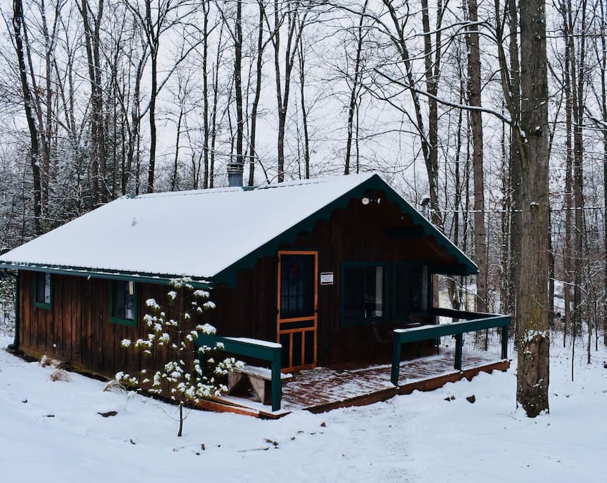 Lumberjack Cabin: WiFi+Near Bald Eagle State Park - Cabins for Rent in ...