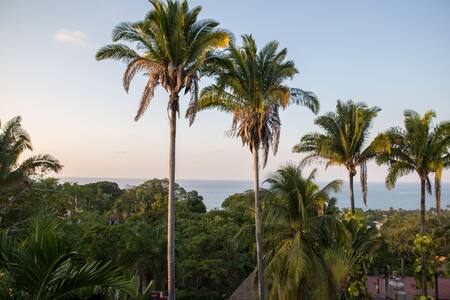 Rooftop casita with views