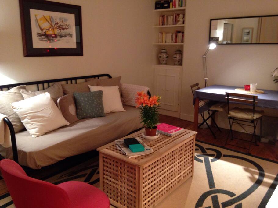 Séjour avec canapé qui fait également office de lit simple (matelas épais très confortable, couette, draps et oreiller disponibles).