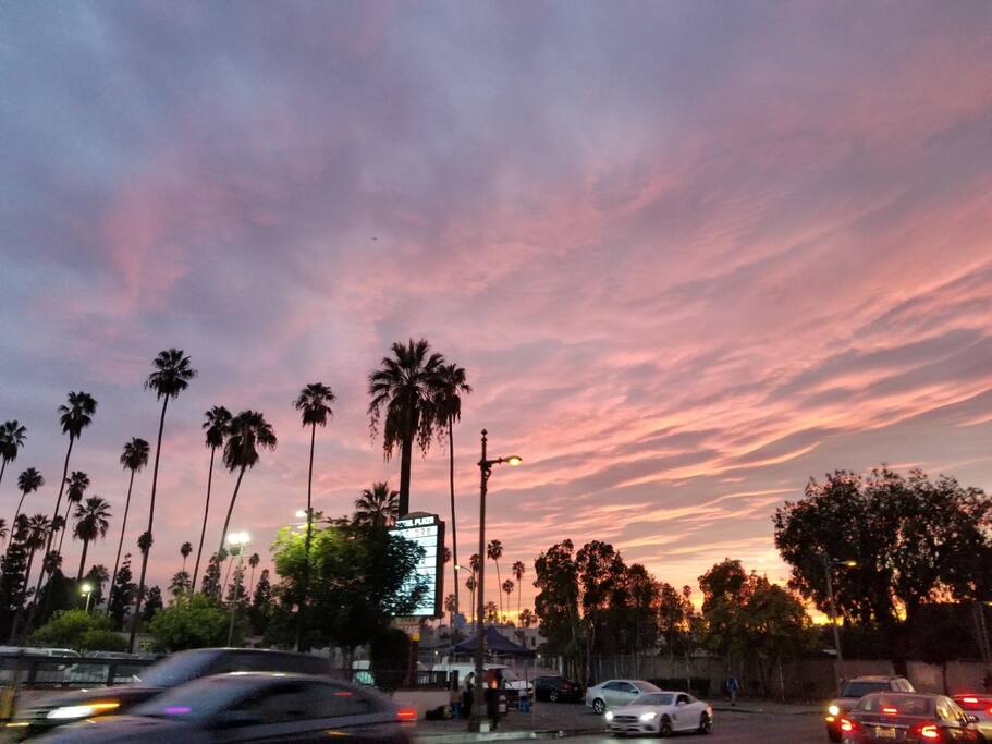 Priceless Sunset & Ocean views 1BR Santa Monica CA - 로스앤젤레스의 아파트에서 살아보기, 캘리포니아, 미국