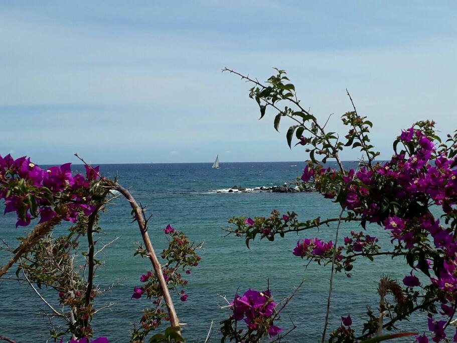 vous serez à 15 mn à pied de la mer