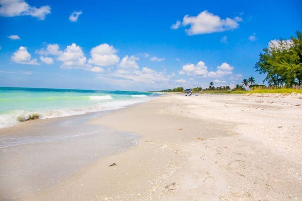 amazing beach
