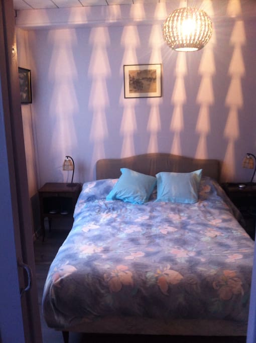 Chambre 1 avec lit double et Tv , placard, salle de bain, wc.