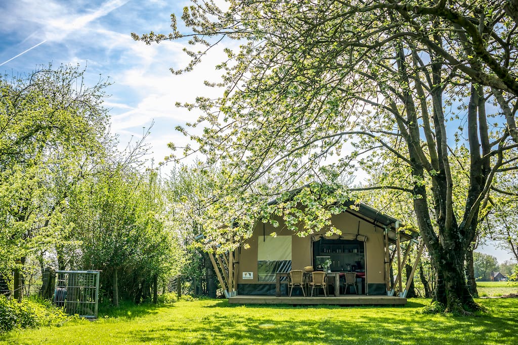 Bij Voedselbron Graauw overnacht je stoer in kleinschalige camping in een inspirerende omgeving waar je niet al jouw kampeermateriaal hoeft mee te slepen. Bij ons kies je voor glamping waar je wel onder een tentdoek slaapt maar dan wel in een echt bed in een van onze volledig ingerichte safaritenten
