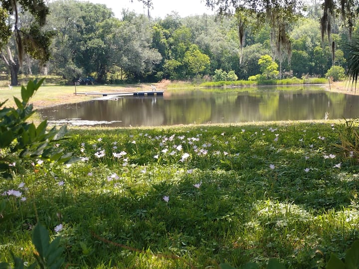 White Springs Holiday Rentals & Homes Florida, United States Airbnb