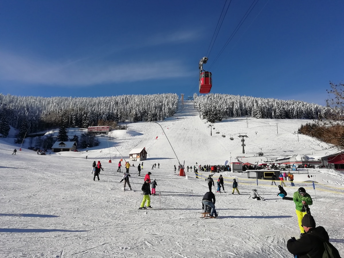 A snowy ski resort is filled with people enjoying winter activities. A gondola is visible above, ascending a slope lined with pine trees. Skiers and snowboarders traverse the snow-covered terrain, while a few structures, including a small lodge, can be seen in the background.