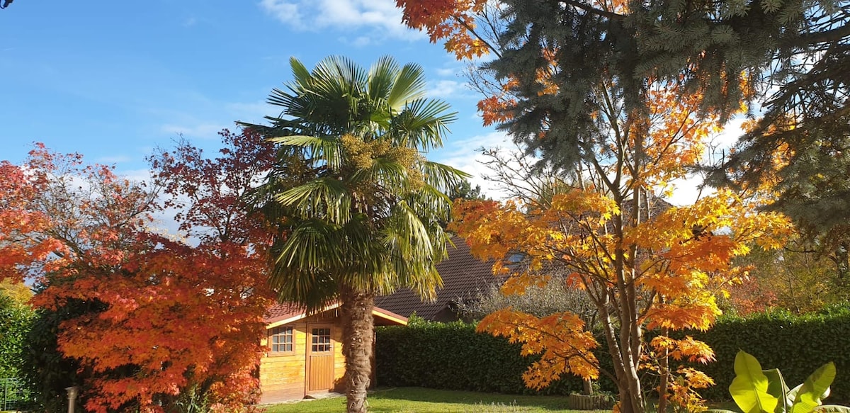 A serene garden scene features vibrant autumn foliage, with trees showcasing shades of orange and yellow. A palm tree adds a tropical touch against a clear blue sky. A wooden structure is visible in the background, surrounded by lush greenery, creating a peaceful outdoor atmosphere.