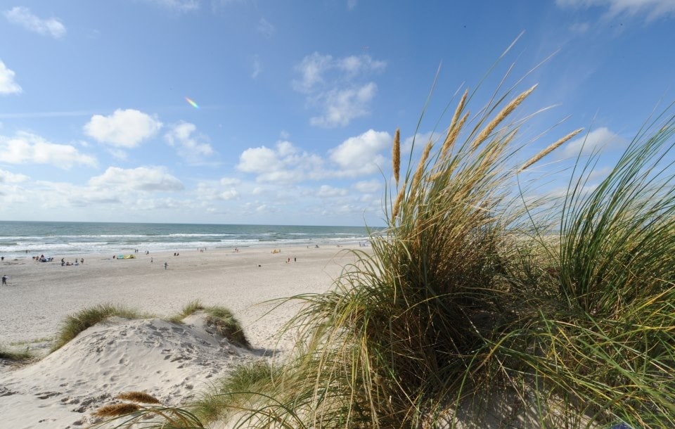 A sandy beach stretches endlessly under a blue sky scattered with white clouds. Gentle waves lap at the shore, and tufts of beach grass blend with the dunes, creating a natural border between land and sea. Guests can enjoy a tranquil coastal atmosphere.