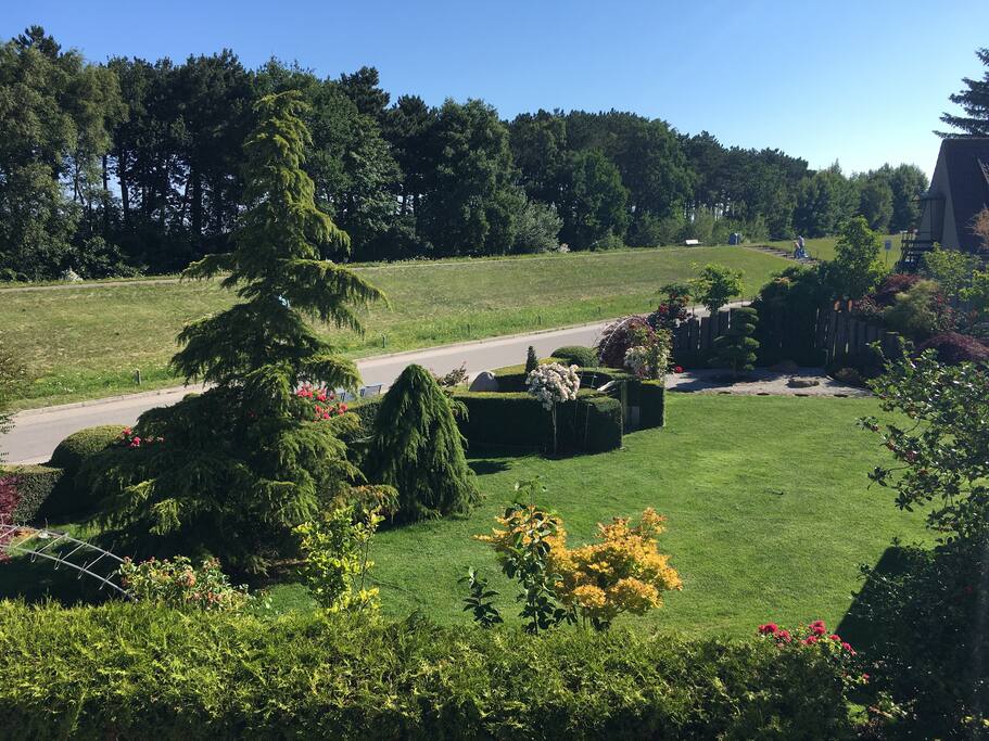 Blick in Osten