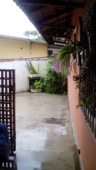 Quintal 2