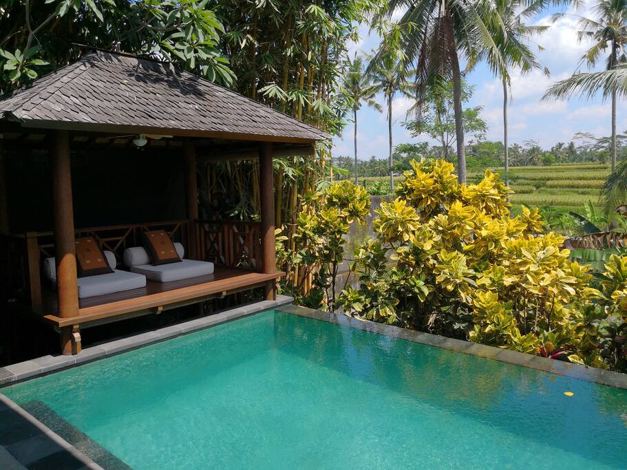 Gazebo on the left size of the pool with fan