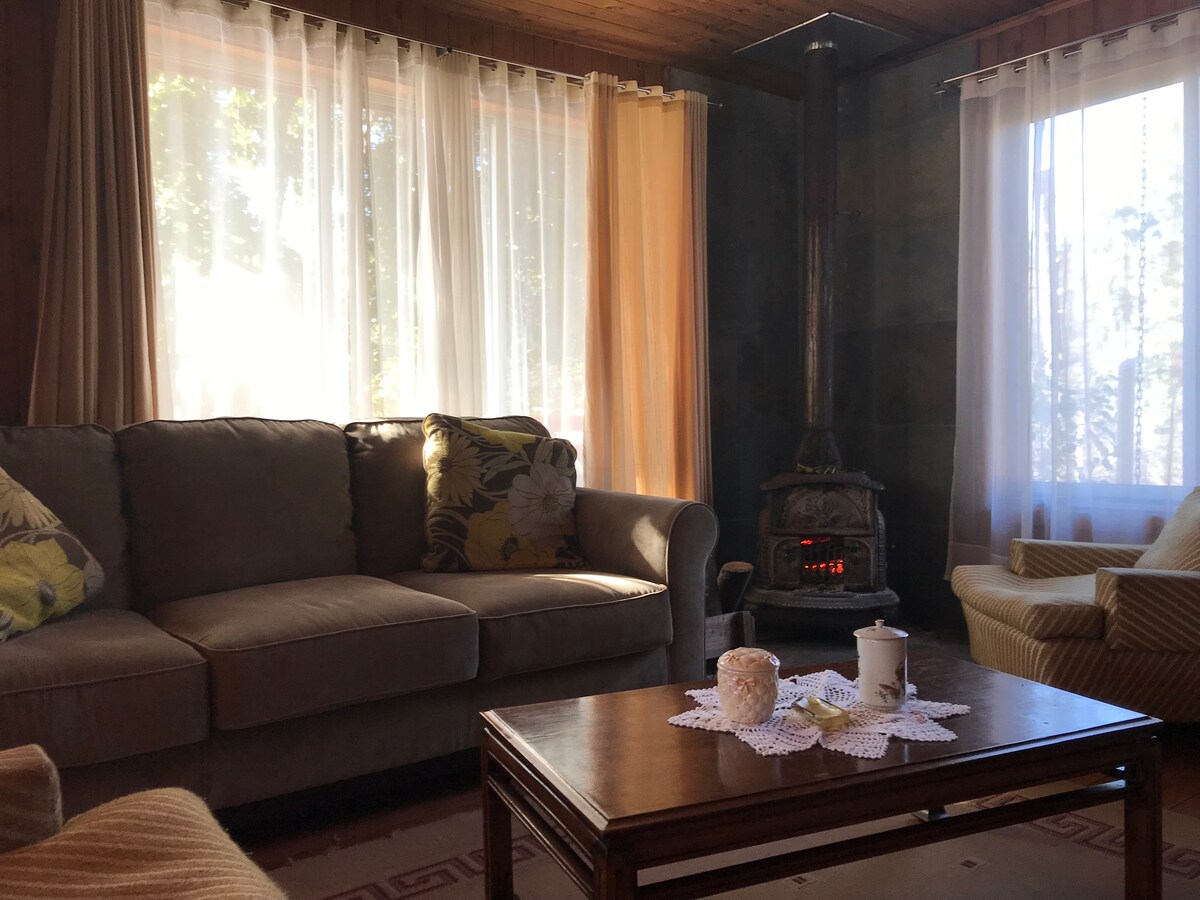 A comfortable living area is presented, featuring a spacious sofa adorned with patterned pillows. A wooden coffee table holds a decorative centerpiece with a tea set. Natural light filters through sheer curtains, illuminating a wood-burning stove that adds warmth to the space.