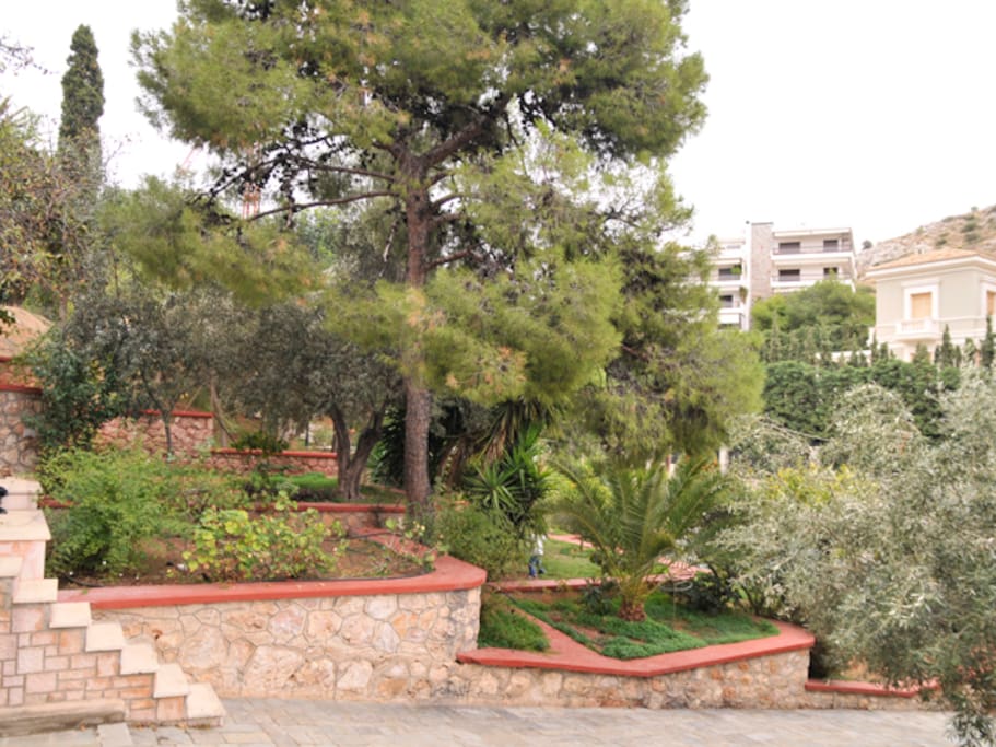 Κήπος