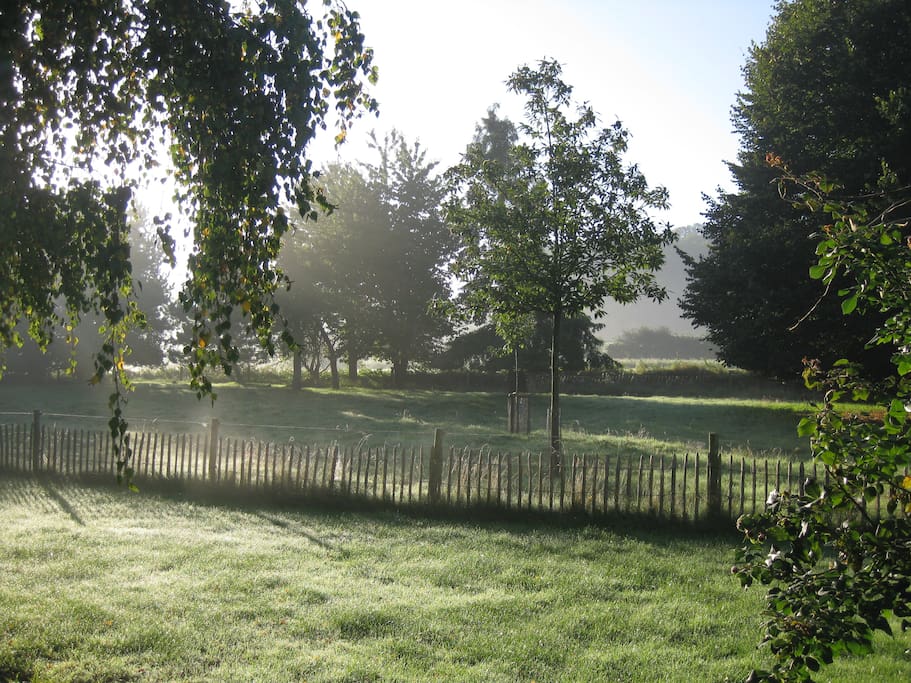 View into the Garden