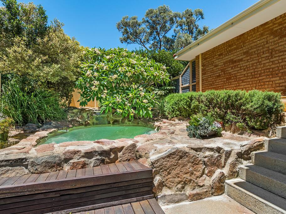 Shared plunge pool you can use to cool off and relax